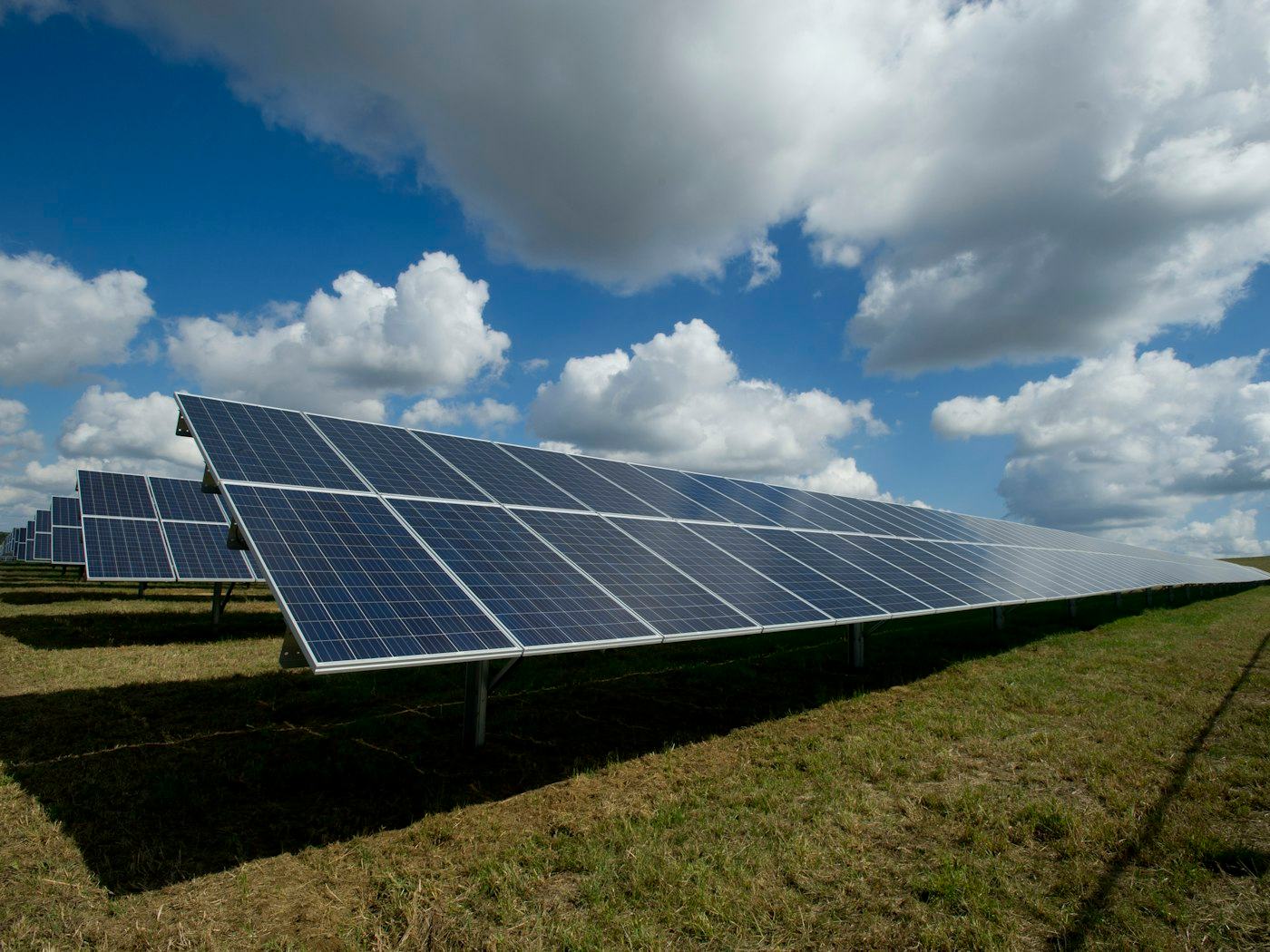 Rows of solar panels in an open field